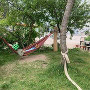 comment.user?.profileImg