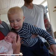Opgaveejer for løst opgaver online