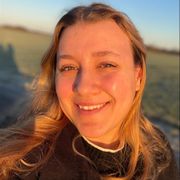 Opgaveejer for løst opgaver online