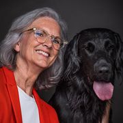 comment.user?.profileImg