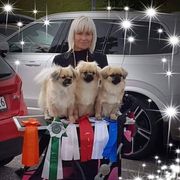 comment.user?.profileImg