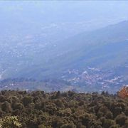 comment.user?.profileImg