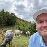 comment.user?.profileImg