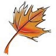 comment.user?.profileImg