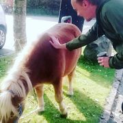 comment.user?.profileImg