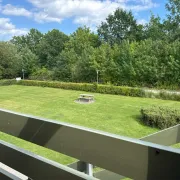 comment.user?.profileImg