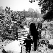 comment.user?.profileImg