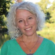 comment.user?.profileImg