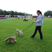 Opgaveejer for løst opgaver online