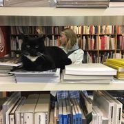 comment.user?.profileImg