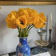 comment.user?.profileImg