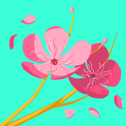 comment.user?.profileImg