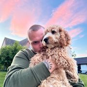 Opgaveejer for løst opgaver online