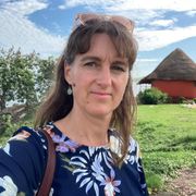 comment.user?.profileImg