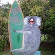 comment.user?.profileImg