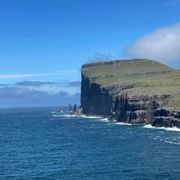 comment.user?.profileImg