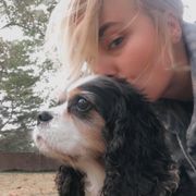 comment.user?.profileImg