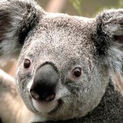 comment.user?.profileImg