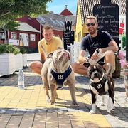 comment.user?.profileImg