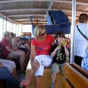 comment.user?.profileImg