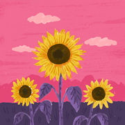 comment.user?.profileImg