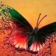 Opgaveejer for løst opgaver online