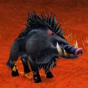 comment.user?.profileImg