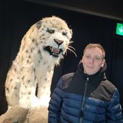 comment.user?.profileImg