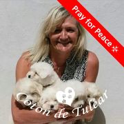 comment.user?.profileImg
