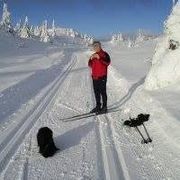 comment.user?.profileImg