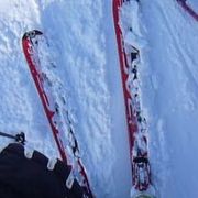 comment.user?.profileImg