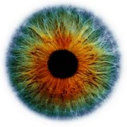 comment.user?.profileImg