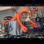 comment.user?.profileImg