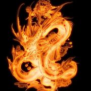 comment.user?.profileImg