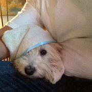 comment.user?.profileImg