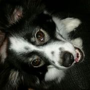 comment.user?.profileImg