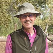 Opgaveejer for løst opgaver online