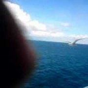 comment.user?.profileImg