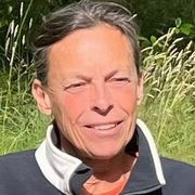 comment.user?.profileImg