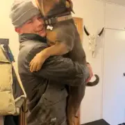 Opgaveejer for løst opgaver online