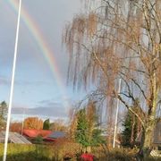 comment.user?.profileImg