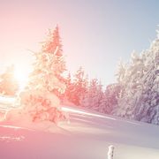 Opgaveejer for løst opgaver online