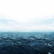 comment.user?.profileImg