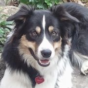 comment.user?.profileImg