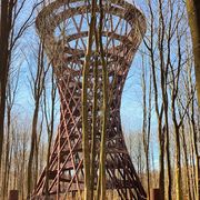 comment.user?.profileImg