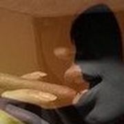 comment.user?.profileImg