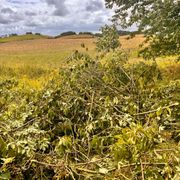 Opgaveejer for løst opgaver online