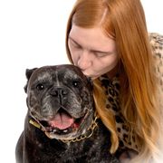 Opgaveejer for løst opgaver online