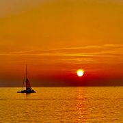 comment.user?.profileImg