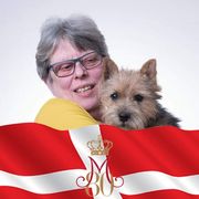 comment.user?.profileImg